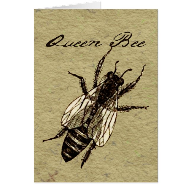 Queen Bee (Front)