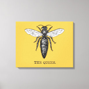 Queen Bee Bug Insect Antique Illustration Canvas Print