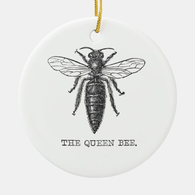 Queen Bee Bug Insect Antique Illustration Ceramic Ornament (Front)