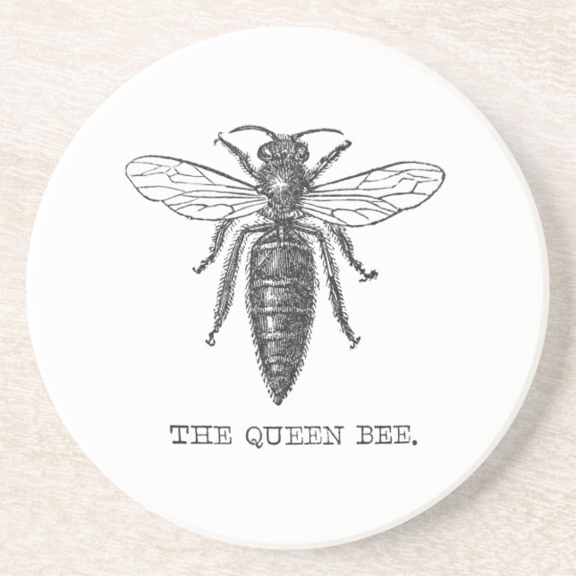 Queen Bee Bug Insect Antique Illustration Coaster (Front)