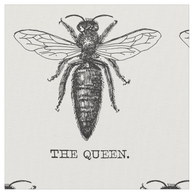 Queen Bee Bug Insect Antique Illustration Fabric (Close Up)
