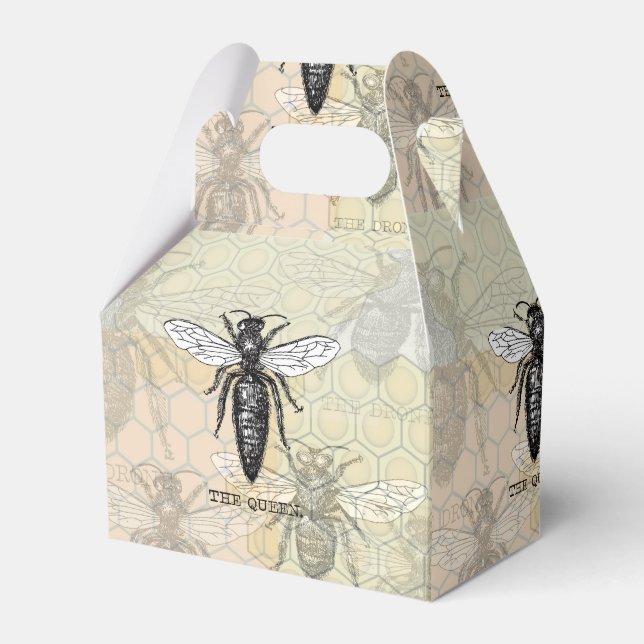 Queen Bee Bug Insect Antique Illustration Favour Box (Front Side)