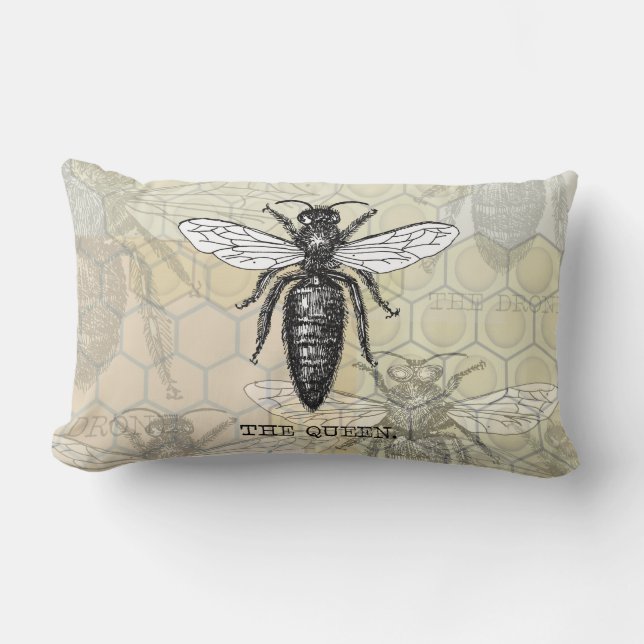 Queen Bee Bug Insect Antique Illustration Lumbar Cushion (Front)