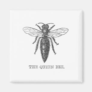 Queen Bee Bug Insect Antique Illustration Magnet