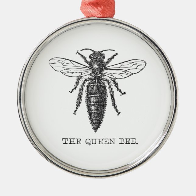 Queen Bee Bug Insect Antique Illustration Metal Ornament (Front)