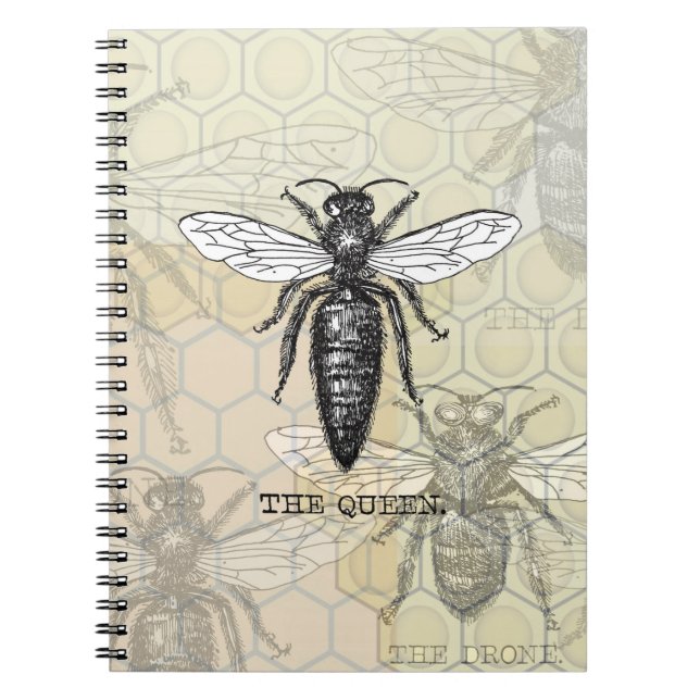 Queen Bee Bug Insect Antique Illustration Notebook (Front)