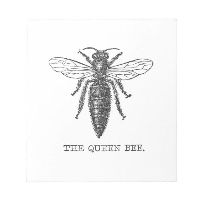 Queen Bee Bug Insect Antique Illustration Notepad (Front)