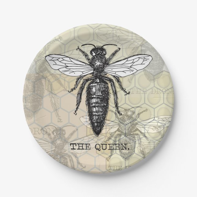 Queen Bee Bug Insect Antique Illustration Paper Plate (Front)