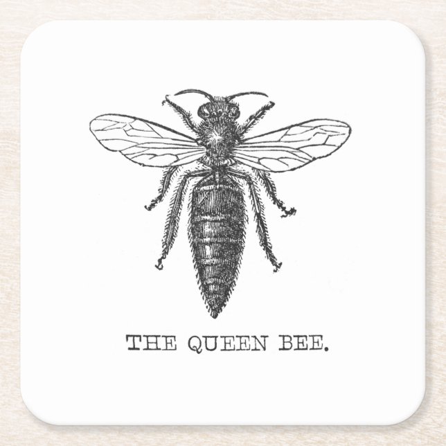 Queen Bee Bug Insect Antique Illustration Square Paper Coaster (Front)