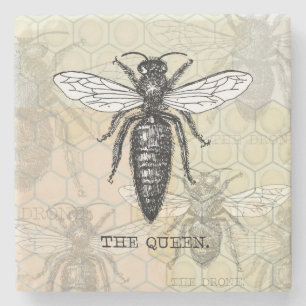 Queen Bee Bug Insect Antique Illustration Stone Coaster