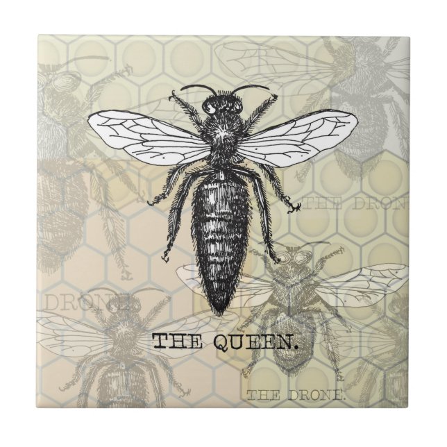 Queen Bee Bug Insect Antique Illustration Tile (Front)