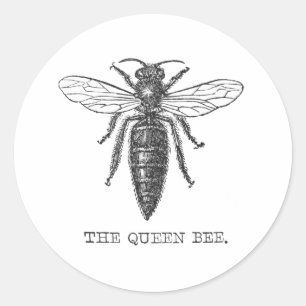 Queen Bee Bug Insect Bees Illustration Classic Round Sticker