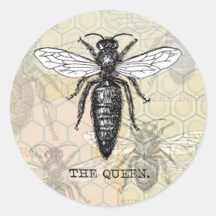 Queen Bee Bug Insect Bees Illustration Classic Round Sticker