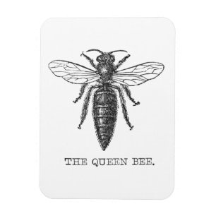 Queen Bee Bug Insect Bees Illustration Magnet