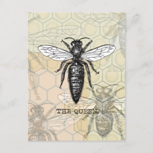 Queen Bee Bug Insect Bees Illustration Postcard