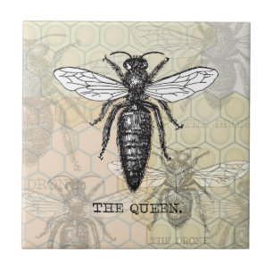 Queen Bee Bug Insect Bees Illustration Tile