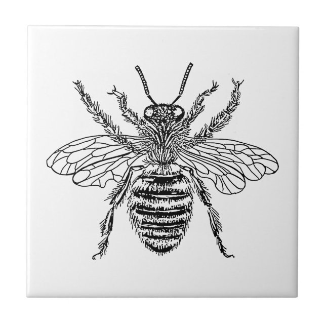 Queen Bee Ceramic Tile (Front)