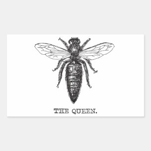 Queen Bee Illustration Classic Drawing Rectangular Sticker