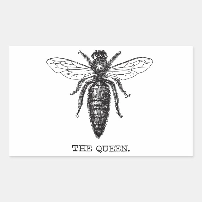 Queen Bee Illustration Classic Drawing Rectangular Sticker (Front)