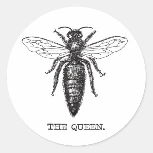 Queen Bee Illustration Classic Drawing Round Sticker