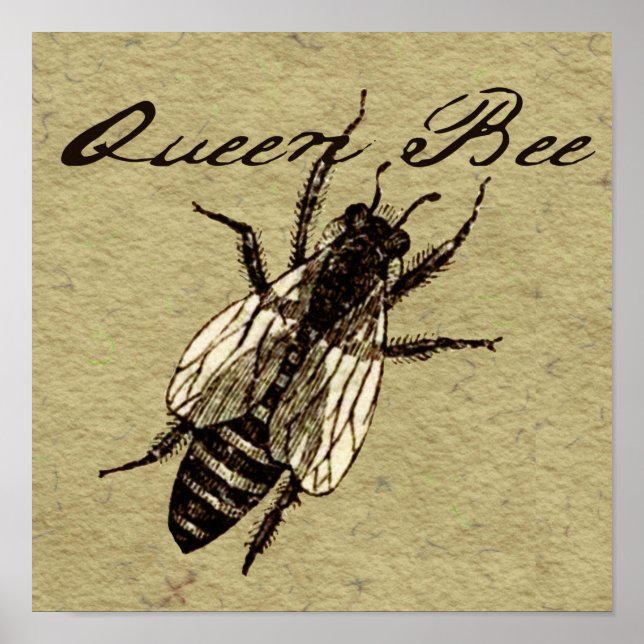 Queen Bee Poster (Front)