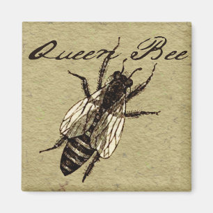 Queen Bee Vintage Black and White Art Print Magnet