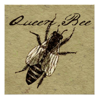 Queen Bee Wildlife Flying Bug Insect