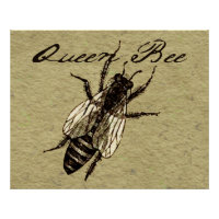 Queen Bee Wildlife Flying Bug Insect