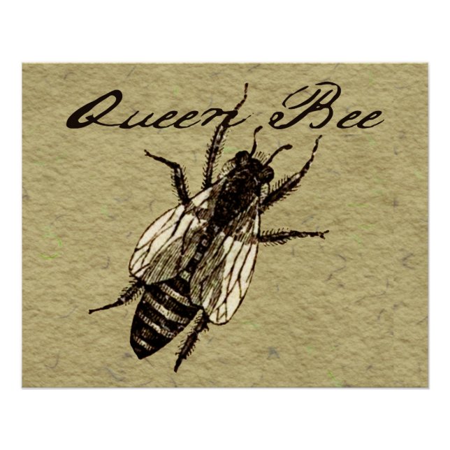 Queen Bee Wildlife Flying Bug Insect Poster (Front)