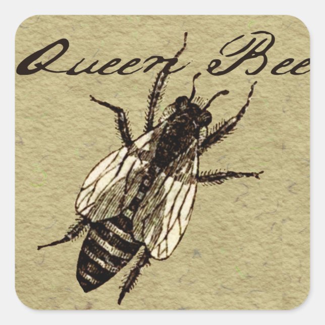 Queen Bee Wildlife Flying Bug Insect Square Sticker (Front)