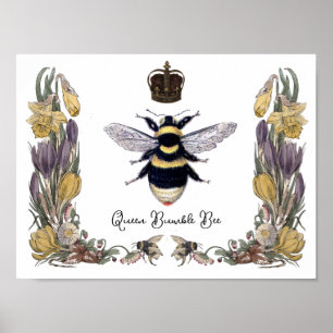 Queen Bumble Bee in Flower  Frame  Poster