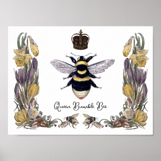 Queen Bumble Bee in Flower  Frame  Poster (Front)