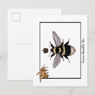 Queen Bumble Bee Postcard