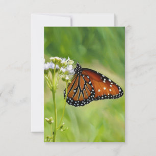 Queen Butterfly Art Flat Note Card