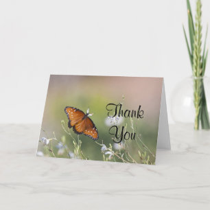 Queen Butterfly in Morning light Thank You Card
