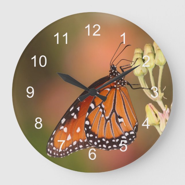 Queen  butterfly on a branch large clock (Front)