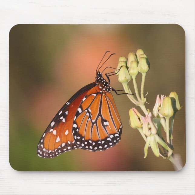Queen butterfly on a branch mouse pad (Front)