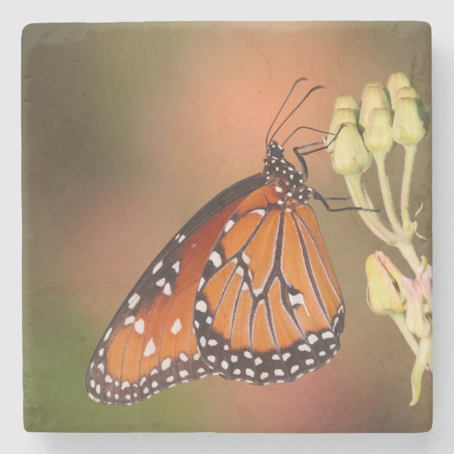 Queen butterfly on a branch stone coaster (Front)