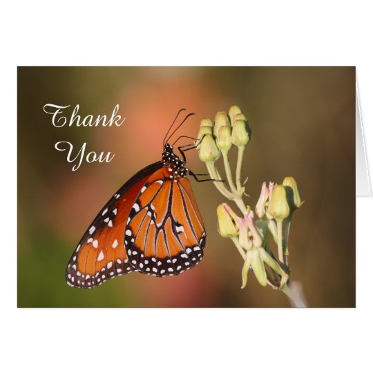Queen butterfly on a branch,Thank you Card