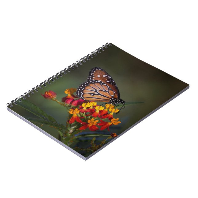 Queen butterfly on tropical milkweed notebook (Left Side)