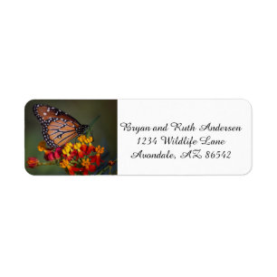 Queen butterfly on tropical milkweed return address label