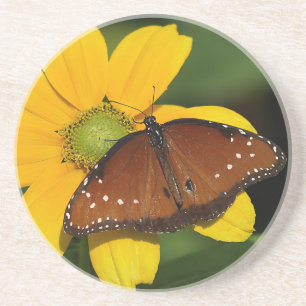 Queen Butterfly on yellow flower Coaster