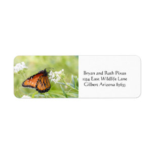 Queen Butterfly Sunning on Milkweed Return Address Label