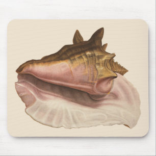 Queen Conch Seashell Shell, Vintage Marine Life Mouse Pad