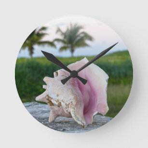 Queen Conch Shell on a Wall, The Bahamas Poster Round Clock