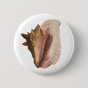 Queen Conch Shell Seashell, Vintage Marine Life 6 Cm Round Badge