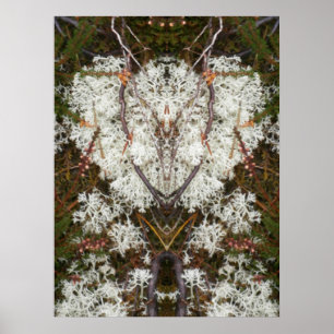 Queen Elizabeth 1st Lichen Poster