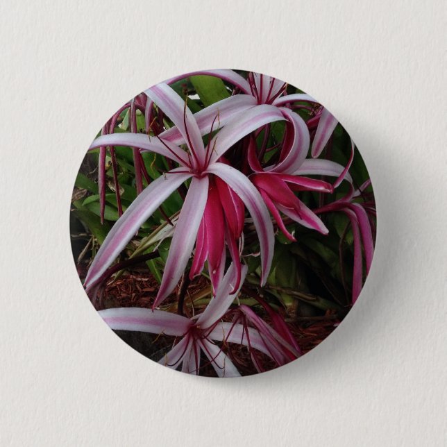 Queen Emma's Purple Crinum Lily 6 Cm Round Badge (Front)