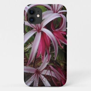 Queen Emma's Purple Crinum Lily iPhone 11 Case
