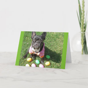 Queen FiFi Greeting Card
